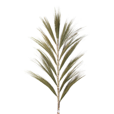 1.6m Surya Rayung Pampas in Set of 3