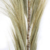 1.6m Surya Rayung Pampas in Set of 3