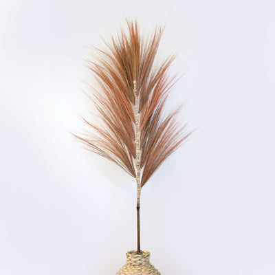 1.6m Surya Rayung Pampas in Set of 3