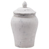 Earthy Ceramic Stone Ginger Jar