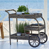 Sika-Design Exterior | Georgia Garden James Outdoor Serving Cart Trolley